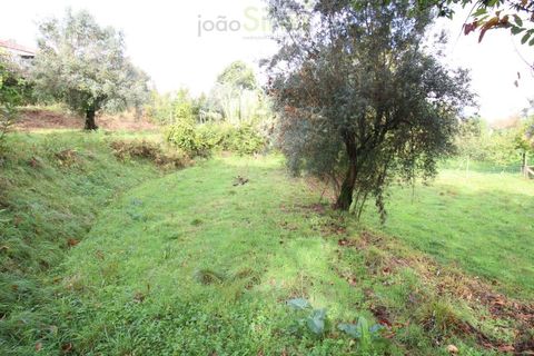 Helårsgrund i Ponte de Lima, Viana do Castelo, Ponte de Lima - € 50.000 | Ref: SÒL_1678 - foto 6