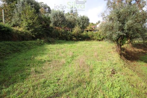 Helårsgrund i Ponte de Lima, Viana do Castelo, Ponte de Lima - € 50.000 | Ref: SÒL_1678 - foto 7