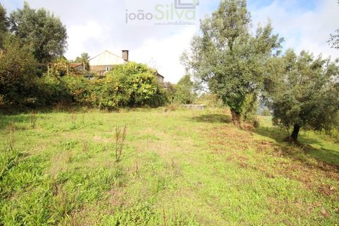 Helårsgrund i Ponte de Lima, Viana do Castelo, Ponte de Lima - € 50.000 | Ref: SÒL_1678 - foto 8