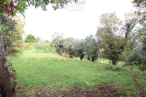 Helårsgrund i Ponte de Lima, Viana do Castelo, Ponte de Lima - € 50.000 | Ref: SÒL_1678 - foto 10