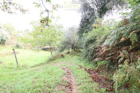 Helårsgrund i Ponte de Lima, Viana do Castelo, Ponte de Lima - € 50.000 | Ref: SÒL_1678 - foto 11
