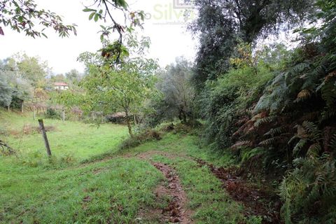 Helårsgrund i Ponte de Lima, Viana do Castelo, Ponte de Lima - € 50.000 | Ref: SÒL_1678 - foto 12