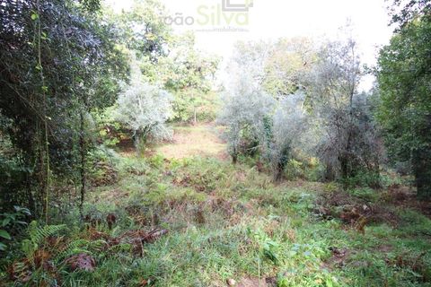 Helårsgrund i Ponte de Lima, Viana do Castelo, Ponte de Lima - € 50.000 | Ref: SÒL_1678 - foto 13