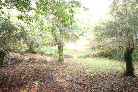 Helårsgrund i Ponte de Lima, Viana do Castelo, Ponte de Lima - € 50.000 | Ref: SÒL_1678 - foto 14