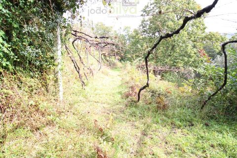 Helårsgrund i Ponte de Lima, Viana do Castelo, Ponte de Lima - € 50.000 | Ref: SÒL_1678 - foto 18