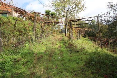 Helårsgrund i Ponte de Lima, Viana do Castelo, Ponte de Lima - € 50.000 | Ref: SÒL_1678 - foto 19