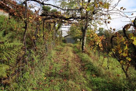 Helårsgrund i Ponte de Lima, Viana do Castelo, Ponte de Lima - € 50.000 | Ref: SÒL_1678 - foto 20