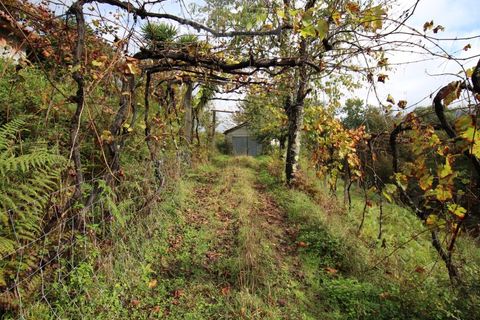 Helårsgrund i Ponte de Lima, Viana do Castelo, Ponte de Lima - € 50.000 | Ref: SÒL_1678 - foto 21