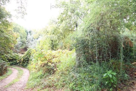Helårsgrund i Ponte de Lima, Viana do Castelo, Ponte de Lima - € 50.000 | Ref: SÒL_1678 - foto 22
