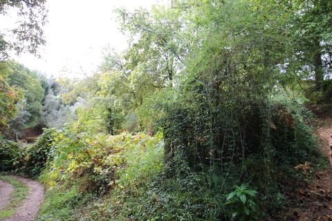 Helårsgrund i Ponte de Lima, Viana do Castelo, Ponte de Lima - € 50.000 | Ref: SÒL_1678 - foto 23