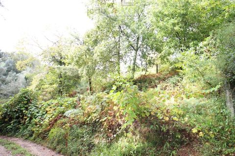 Helårsgrund i Ponte de Lima, Viana do Castelo, Ponte de Lima - € 50.000 | Ref: SÒL_1678 - foto 24