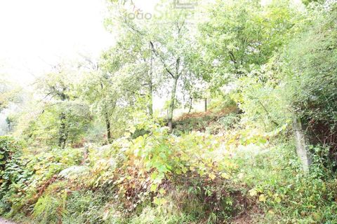 Helårsgrund i Ponte de Lima, Viana do Castelo, Ponte de Lima - € 50.000 | Ref: SÒL_1678 - foto 25