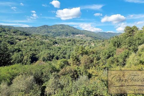 Villa a Pescia, Pistoia, Pescia - € 249.000 | Ref: v5528-x - foto 5