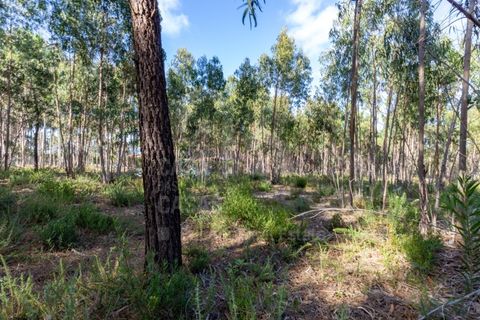 Helårsgrund i Ericeira, Lisbon, Ericeira - € 2.370.000 | Ref: V21210 - foto 4