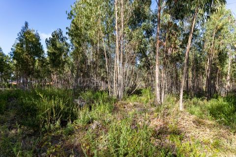 Helårsgrund i Ericeira, Lisbon, Ericeira - € 2.370.000 | Ref: V21210 - foto 8
