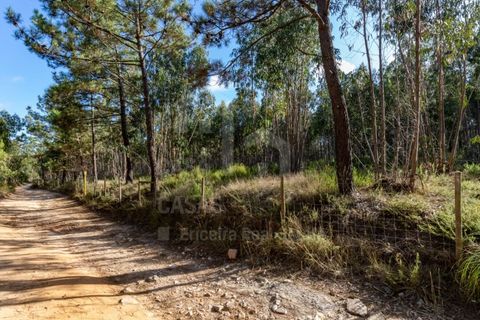 Helårsgrund i Ericeira, Lisbon, Ericeira - € 2.370.000 | Ref: V21210 - foto 10