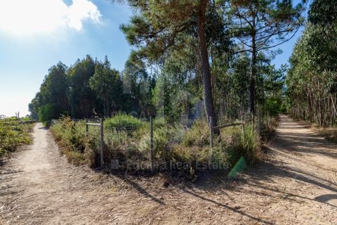 Helårsgrund i Ericeira, Lisbon, Ericeira - € 2.370.000 | Ref: V21210 - foto 18