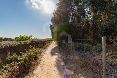 Helårsgrund i Ericeira, Lisbon, Ericeira - € 2.370.000 | Ref: V21210 - foto 20