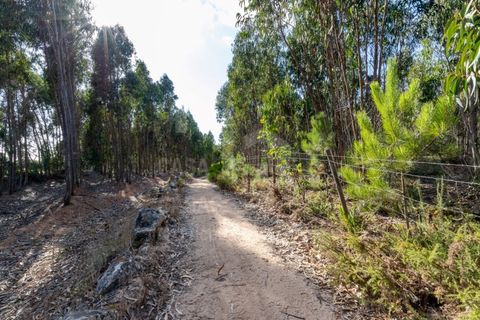 Helårsgrund i Ericeira, Lisbon, Ericeira - € 2.370.000 | Ref: V21210 - foto 23