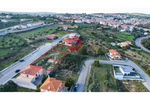 Terra a Meda, Guarda, Meda - € 19.500 | Ref: 123/MDA - foto 2
