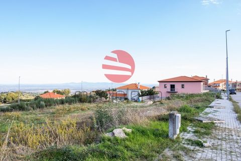 Terra a Meda, Guarda, Meda - € 19.500 | Ref: 123/MDA - foto 3