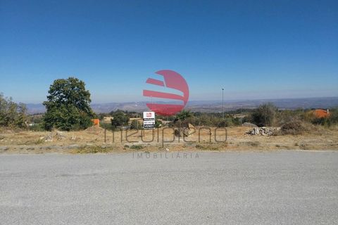 Terra a Meda, Guarda, Meda - € 19.500 | Ref: 123/MDA - foto 4