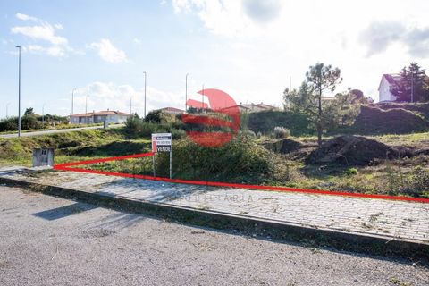 Terra a Meda, Guarda, Meda - € 33.000 | Ref: 121/MDA - foto 2