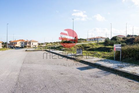Terra a Meda, Guarda, Meda - € 33.000 | Ref: 121/MDA - foto 3