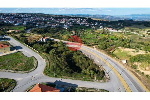 Helårsgrund i Meda, Guarda, Meda - € 24.800 | Ref: 119/MDA - foto 3