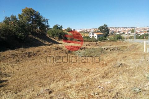 Helårsgrund i Meda, Guarda, Meda - € 24.800 | Ref: 119/MDA - foto 5