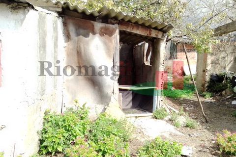 Villa i Santo Onofre e Serra do Bouro, Leiria, Santo Onofre e Serra do Bouro - € 315.000 | Ref: 733.21 - foto 15