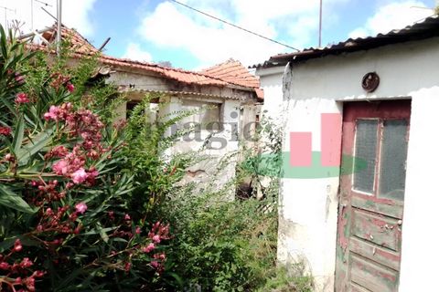 Villa i Santo Onofre e Serra do Bouro, Leiria, Santo Onofre e Serra do Bouro - € 315.000 | Ref: 733.21 - foto 16