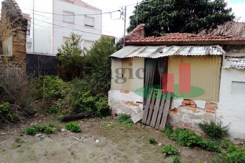 Villa i Santo Onofre e Serra do Bouro, Leiria, Santo Onofre e Serra do Bouro - € 315.000 | Ref: 733.21 - foto 22