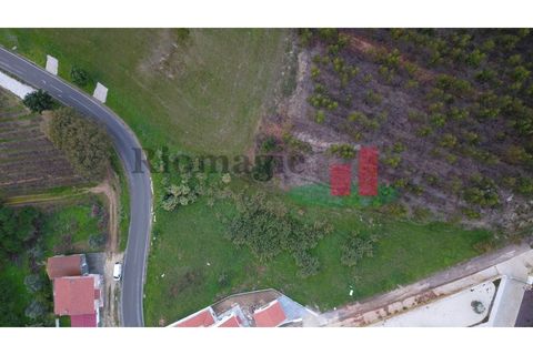 Terra a Vidais, Leiria, Vidais - € 100.000 | Ref: 717.21 - foto 2