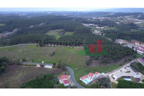 Terra a Vidais, Leiria, Vidais - € 100.000 | Ref: 717.21 - foto 10
