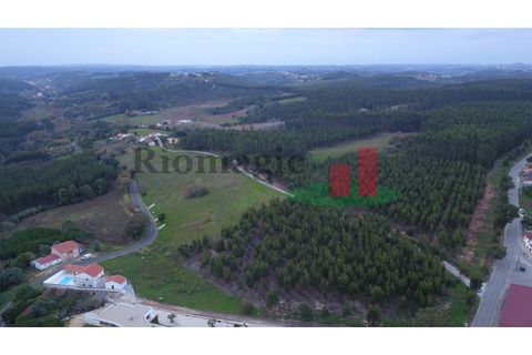 Terra a Vidais, Leiria, Vidais - € 100.000 | Ref: 717.21 - foto 11