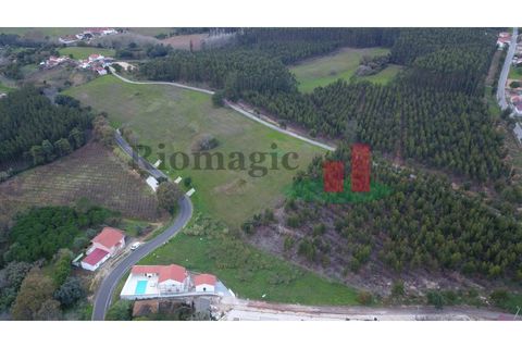 Terra a Vidais, Leiria, Vidais - € 100.000 | Ref: 717.21 - foto 12