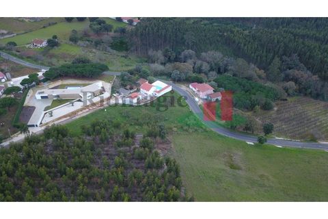 Terra a Vidais, Leiria, Vidais - € 100.000 | Ref: 717.21 - foto 13