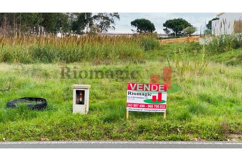 Terra a Vidais, Leiria, Vidais - € 100.000 | Ref: 717.21 - foto 3