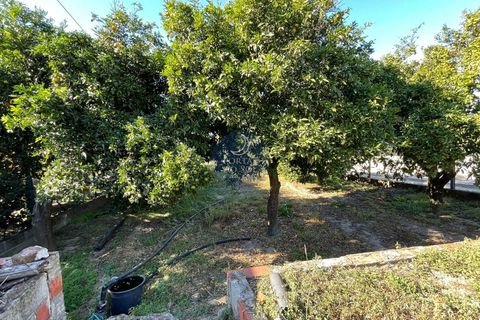 Helårsgrund i Alpiarca, Santarem, Alpiarca - € 56.150 | Ref: 1414 - foto 2