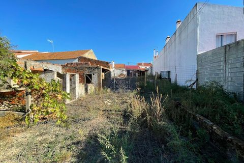Helårsgrund i Alpiarca, Santarem, Alpiarca - € 56.150 | Ref: 1414 - foto 5