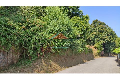 Helårsgrund i Abedim, Viana do Castelo, Abedim - € 19.000 | Ref: TER_317 - foto 2