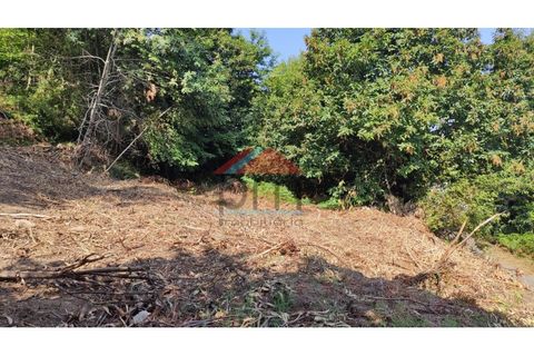 Helårsgrund i Abedim, Viana do Castelo, Abedim - € 19.000 | Ref: TER_317 - foto 4