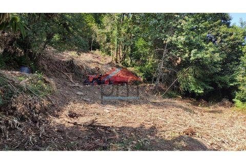Helårsgrund i Abedim, Viana do Castelo, Abedim - € 19.000 | Ref: TER_317 - foto 6