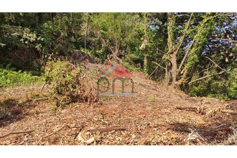 Helårsgrund i Abedim, Viana do Castelo, Abedim - € 19.000 | Ref: TER_317 - foto 8