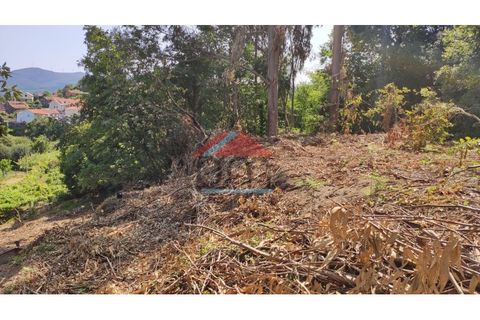 Helårsgrund i Abedim, Viana do Castelo, Abedim - € 19.000 | Ref: TER_317 - foto 9