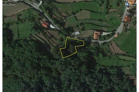 Helårsgrund i Abedim, Viana do Castelo, Abedim - € 19.000 | Ref: TER_317 - foto 12