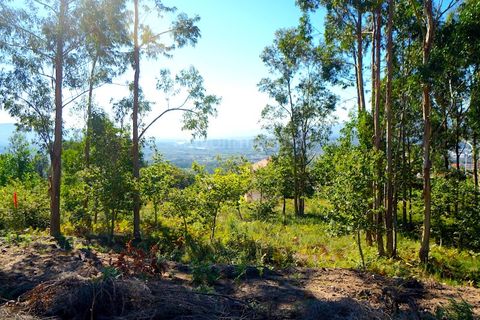 Helårsgrund i Gandra e Taiao, Viana do Castelo, Gandra e Taiao - € 130.000 | Ref: 3747 - foto 2