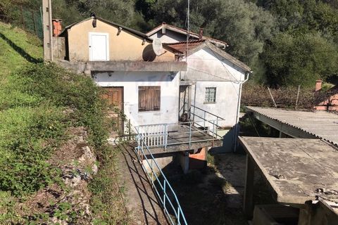 Villa i Vade, Braga, Vade - € 60.000 | Ref: 126371008-7 - foto 2
