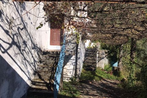 Villa i Vade, Braga, Vade - € 60.000 | Ref: 126371008-7 - foto 13